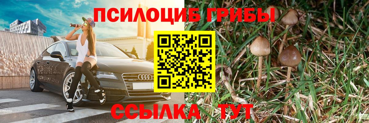 Сокол  Галлюциногенные грибы MAGIC MUSHROOMS  Вход с VPN 